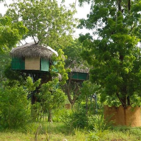 Yala Beddegama Eco Hotel Kataragama Exterior foto