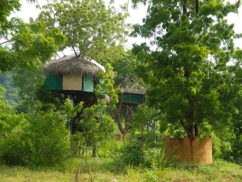 Yala Beddegama Eco Hotel Kataragama Exterior foto