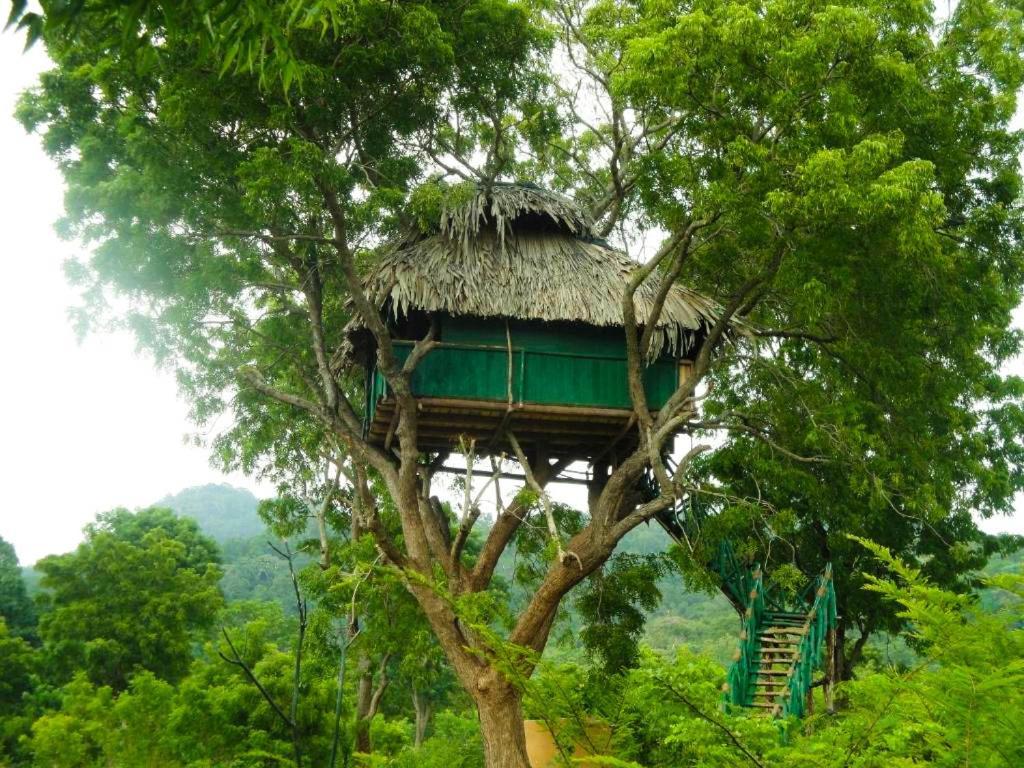 Yala Beddegama Eco Hotel Kataragama Exterior foto