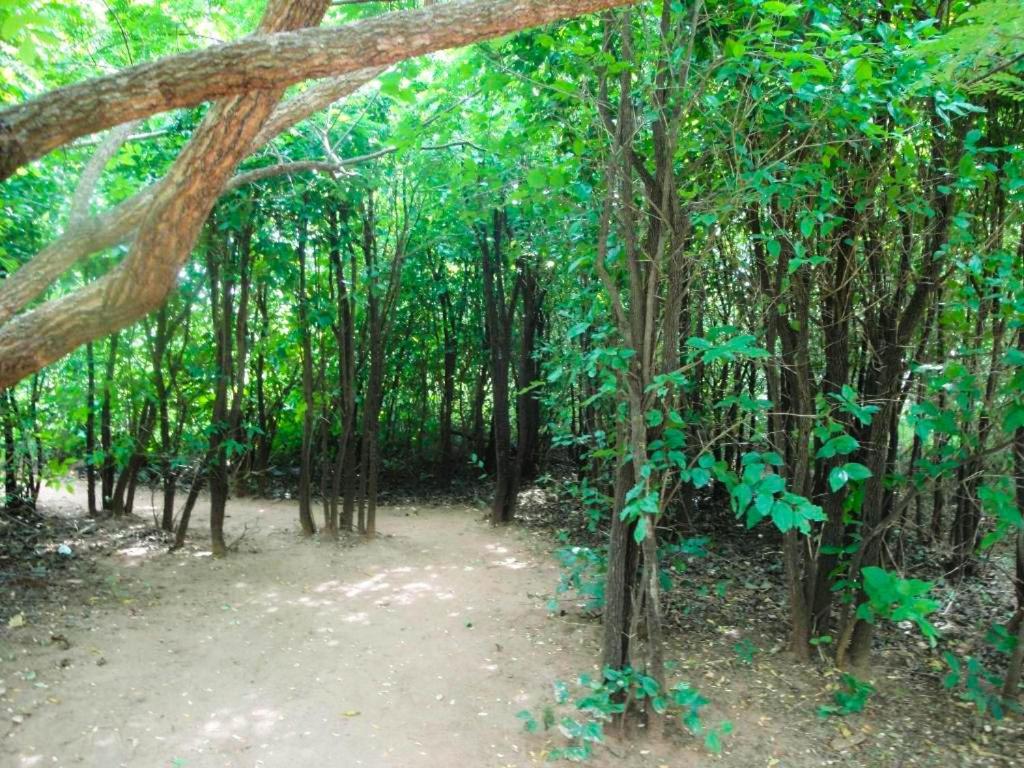 Yala Beddegama Eco Hotel Kataragama Exterior foto