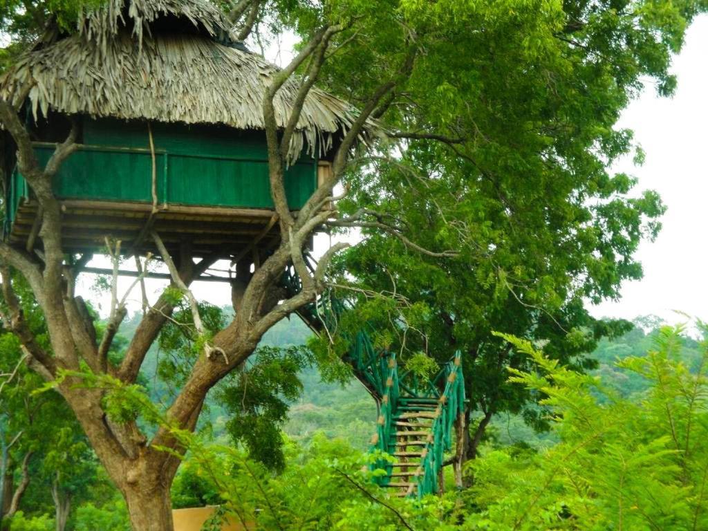 Yala Beddegama Eco Hotel Kataragama Exterior foto