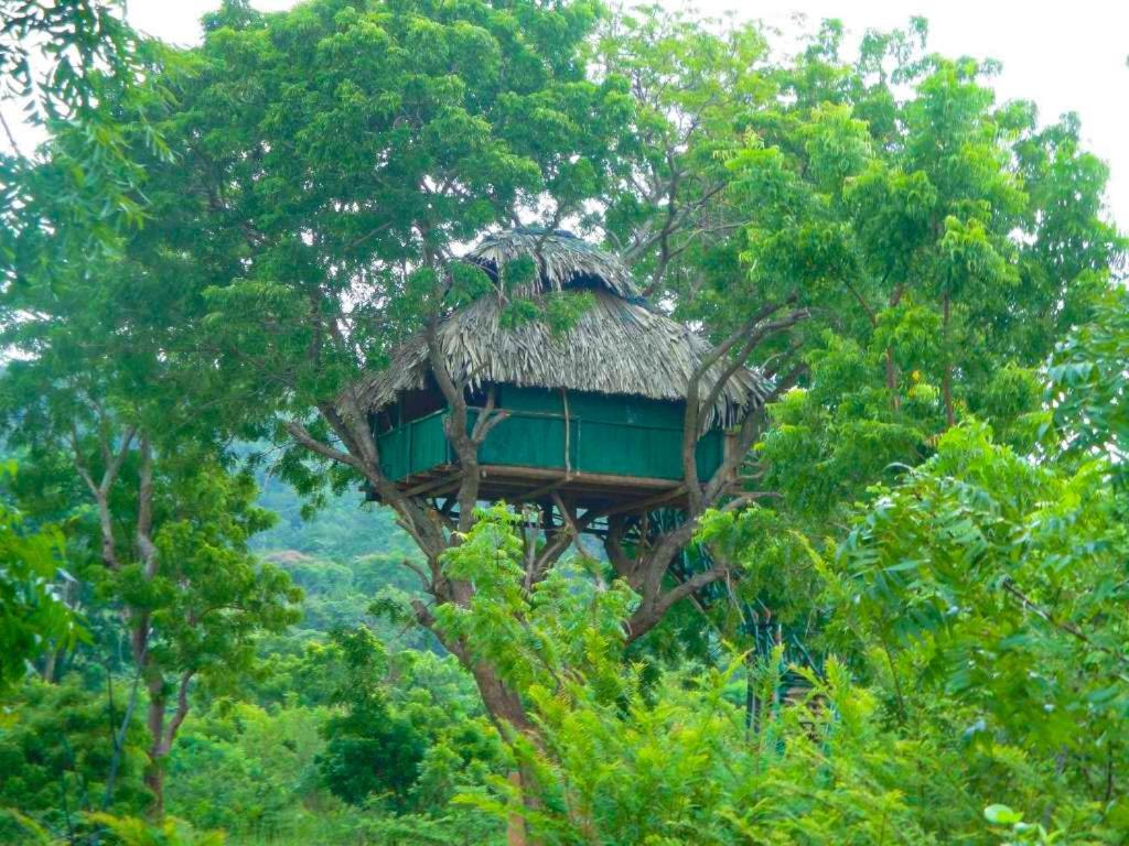 Yala Beddegama Eco Hotel Kataragama Exterior foto