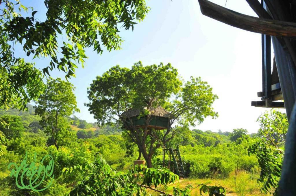 Yala Beddegama Eco Hotel Kataragama Exterior foto