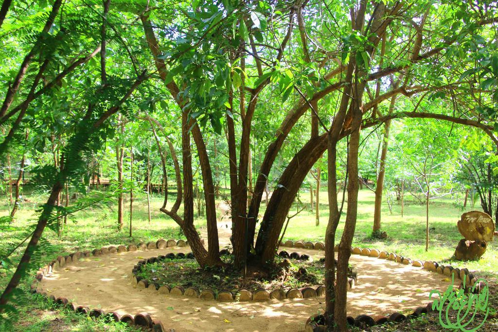 Yala Beddegama Eco Hotel Kataragama Exterior foto