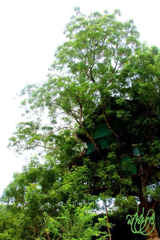 Yala Beddegama Eco Hotel Kataragama Exterior foto