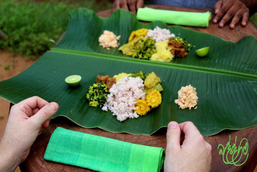 Yala Beddegama Eco Hotel Kataragama Exterior foto