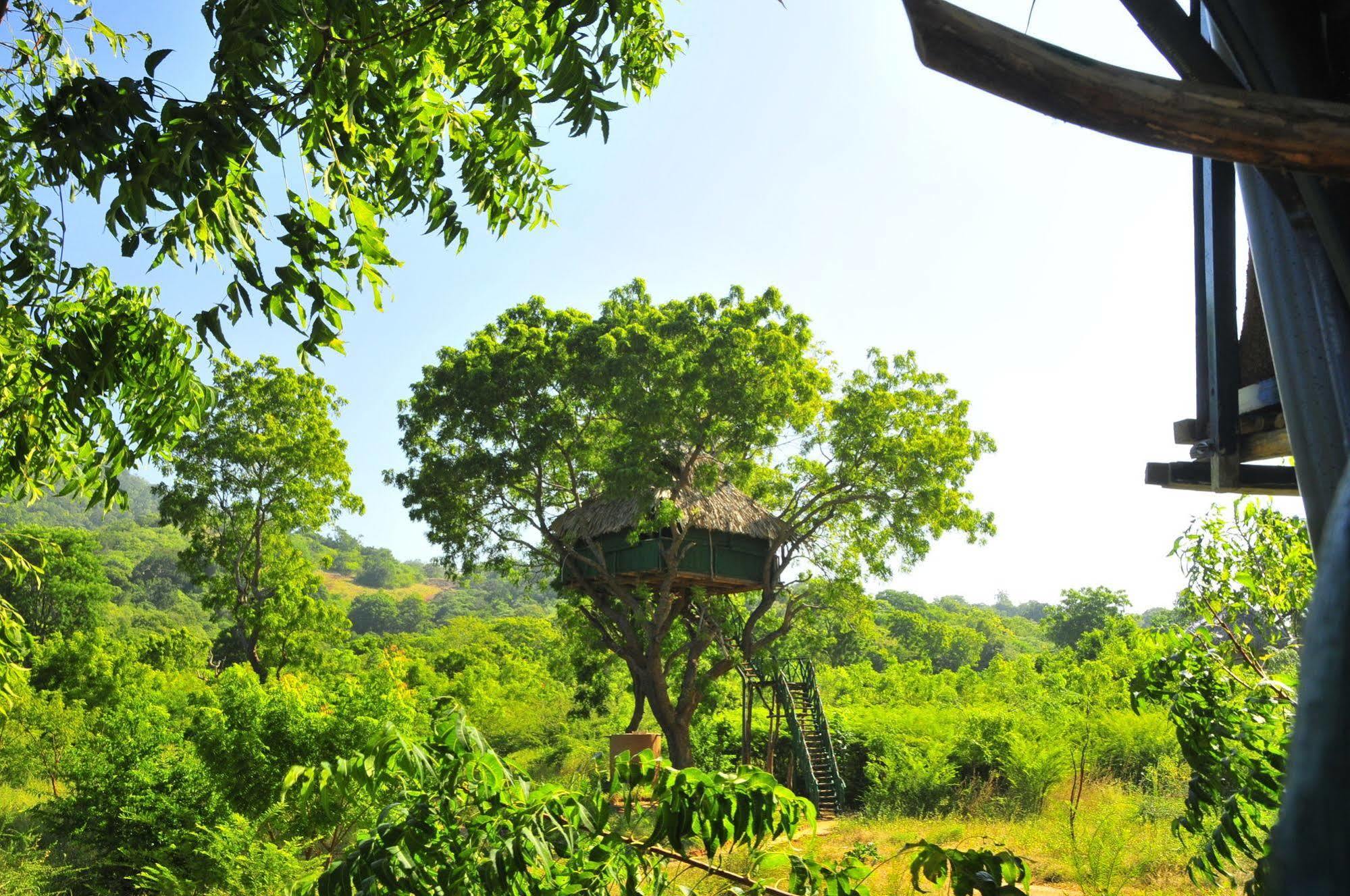 Yala Beddegama Eco Hotel Kataragama Exterior foto