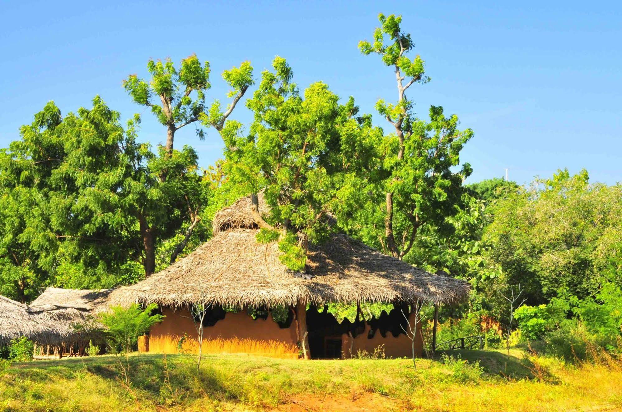 Yala Beddegama Eco Hotel Kataragama Exterior foto